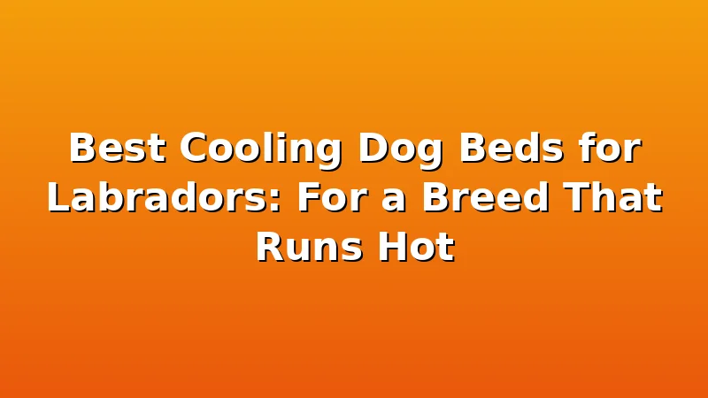 Best Cooling Dog Beds for Labradors: For a Breed That Runs Hot - LabradorBedGuide review with measurements and honest opinion