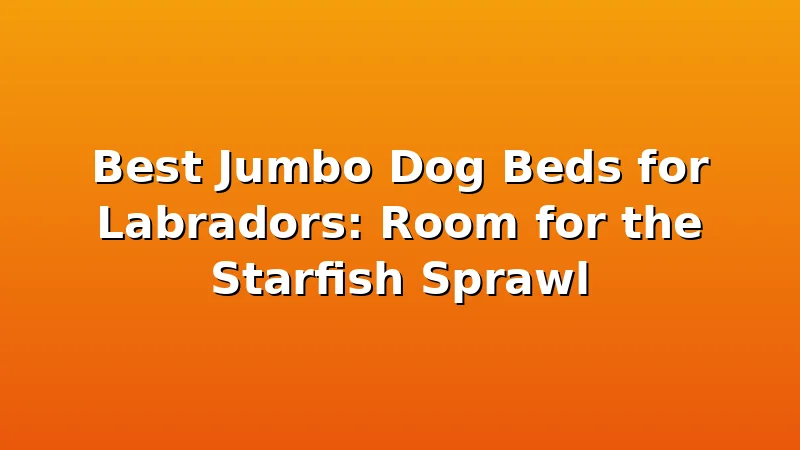 Best Jumbo Dog Beds for Labradors: Room for the Starfish Sprawl - LabradorBedGuide review with measurements and honest opinion