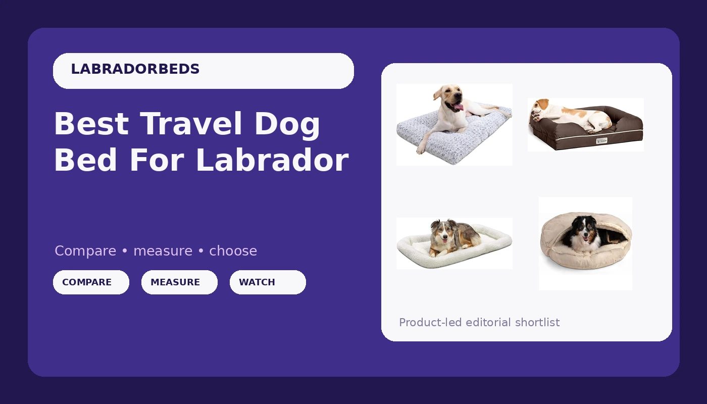 Best Travel Dog Bed For Labrador - LabradorBedGuide review with measurements and honest opinion