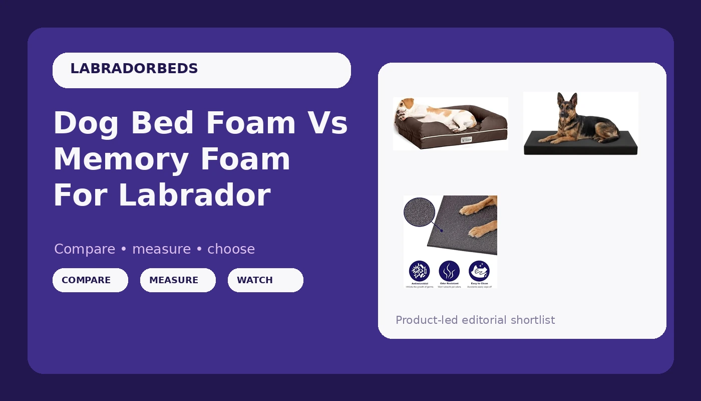 Dog Bed Foam Vs Memory Foam For Labrador - LabradorBedGuide review with measurements and honest opinion