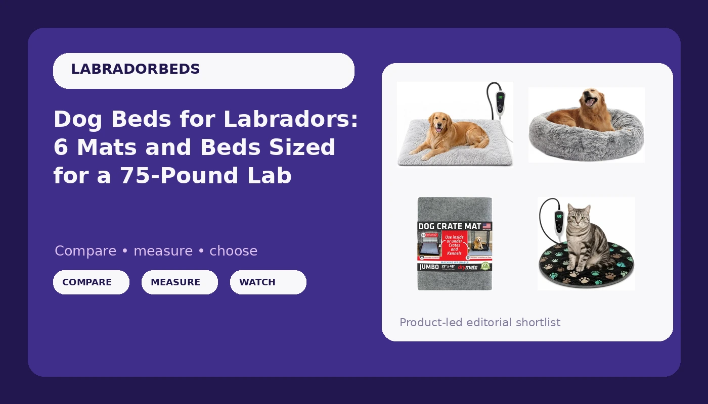 Dog Beds for Labradors: 6 Mats and Beds Sized for a 75-Pound Lab