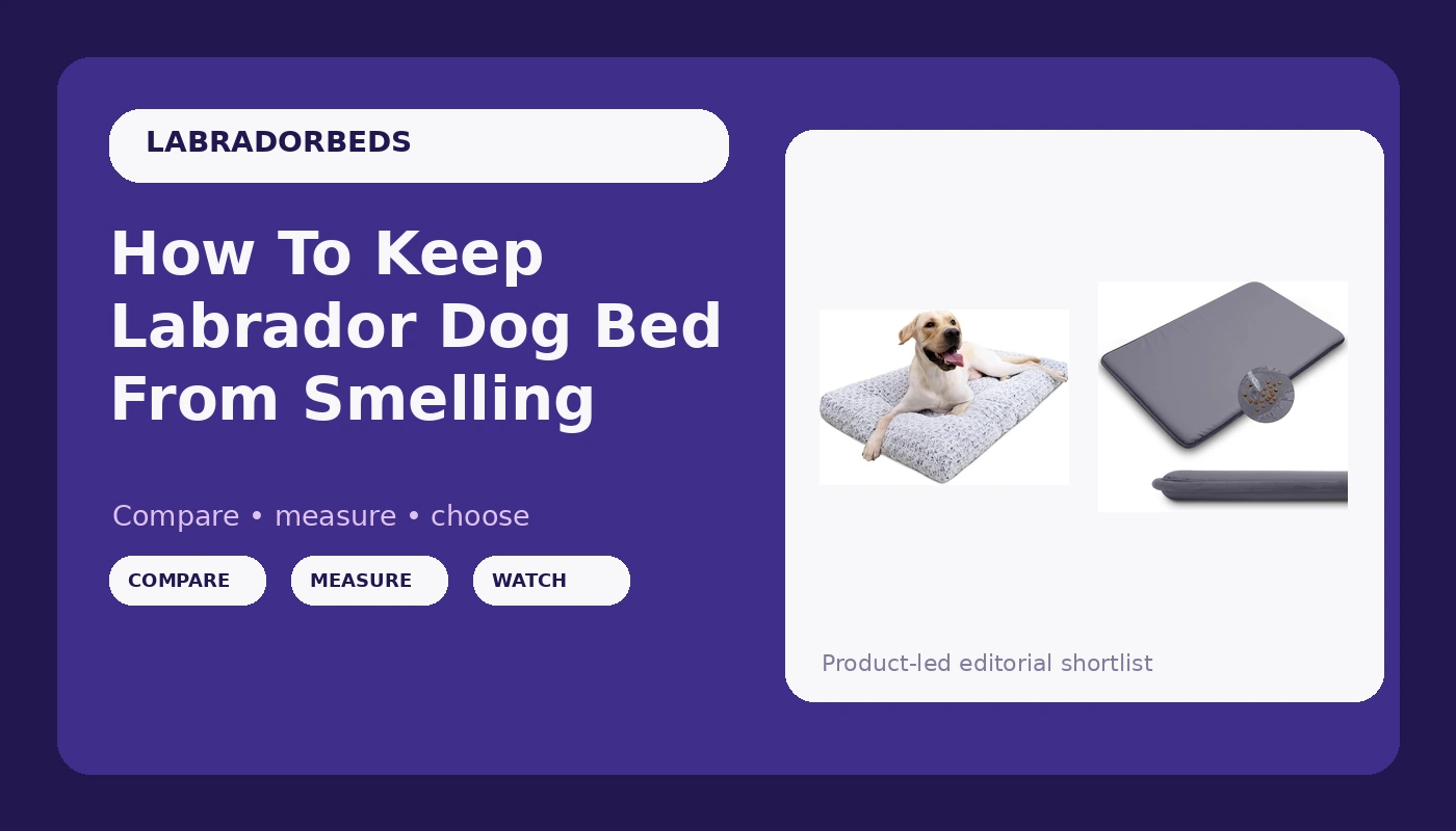 How To Keep Labrador Dog Bed From Smelling - LabradorBedGuide review with measurements and honest opinion