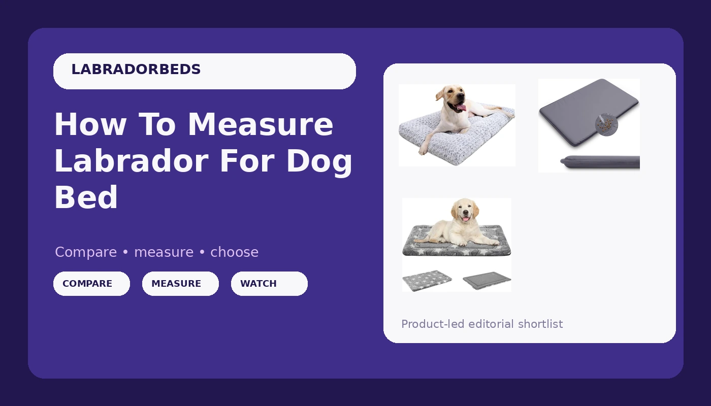How To Measure Labrador For Dog Bed - LabradorBedGuide review with measurements and honest opinion