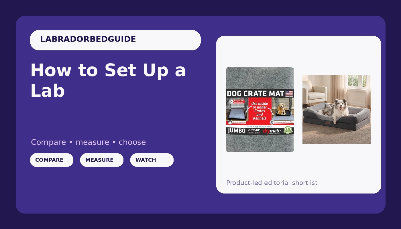 How to Set Up a Lab's Crate and Bed Without Replacing It Monthly