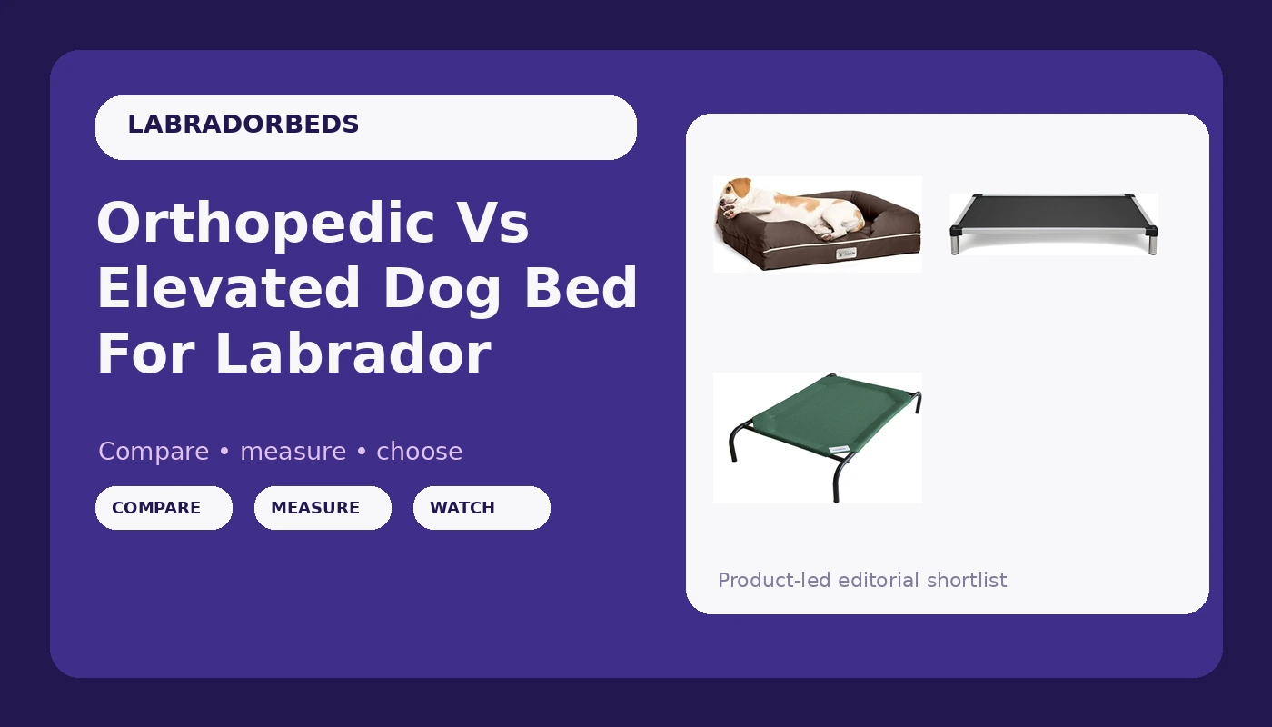 Orthopedic Vs Elevated Dog Bed For Labrador - LabradorBedGuide review with measurements and honest opinion