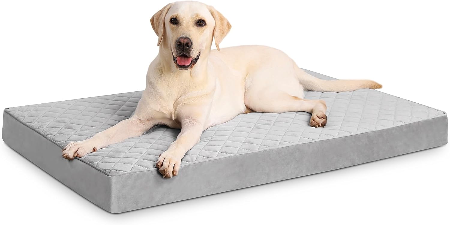 NUPIDA Orthopedic Bed