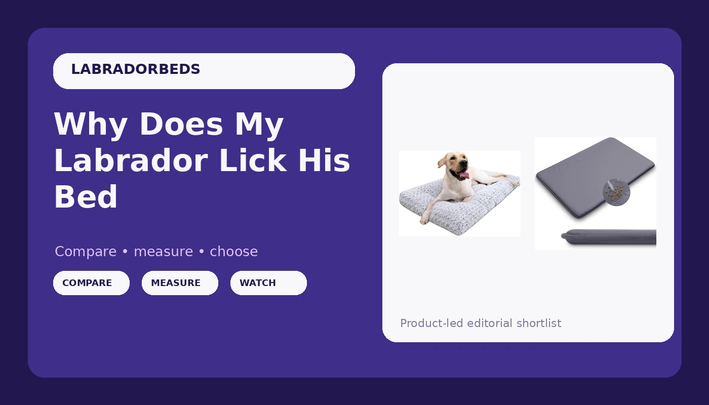 Why Does My Labrador Lick His Bed - LabradorBedGuide review with measurements and honest opinion